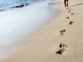 Footprints in beach